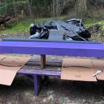 Contributed photo                                Charlie and Gavin repainted the elementary schools playground and crosswalk.