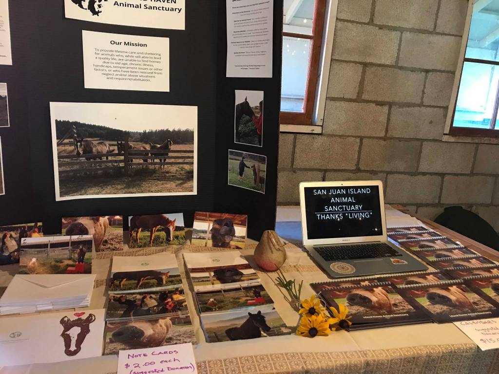 Contributed photo                                Bailee and Ally help Island Haven Animal Sanctuary with their annual Thanksliving celebration.