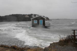 Researchers use king tides to predict sea-level rise on San Juan