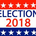 San Juan County has state’s highest voter turnout