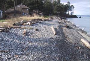 Working with nature to safeguard against storm damage in the San Juans