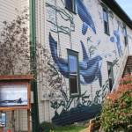 The Whale Museum offers Marine naturalist, Hazwoper trainings