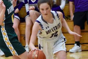 Wolverines boys, girls basketball conquer Loggers