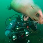 SeaDoc Society premieres new web series