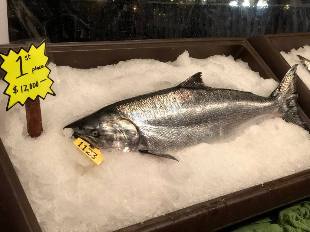 Results from 2019 Roche Harbor Derby