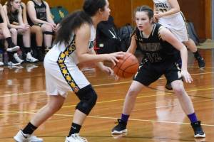 Wolverines sweep Darrington