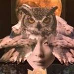 Collage Workshop with Thrinley DiMarco at Alchemy Art Center