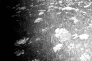 Intro to Black and White Photo at Alchemy Art Center