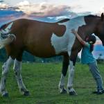 The power of horse hugs