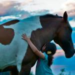 The power of horse hugs