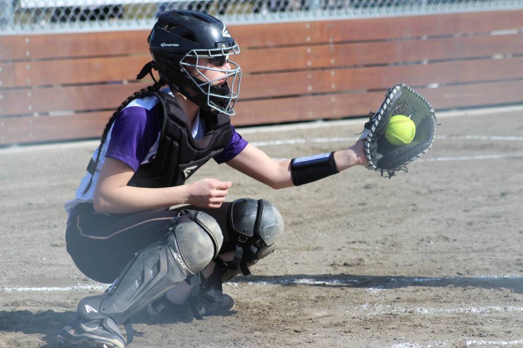 Wolverine baseball and softball wins and losses