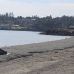 Spring arrives with the equinox