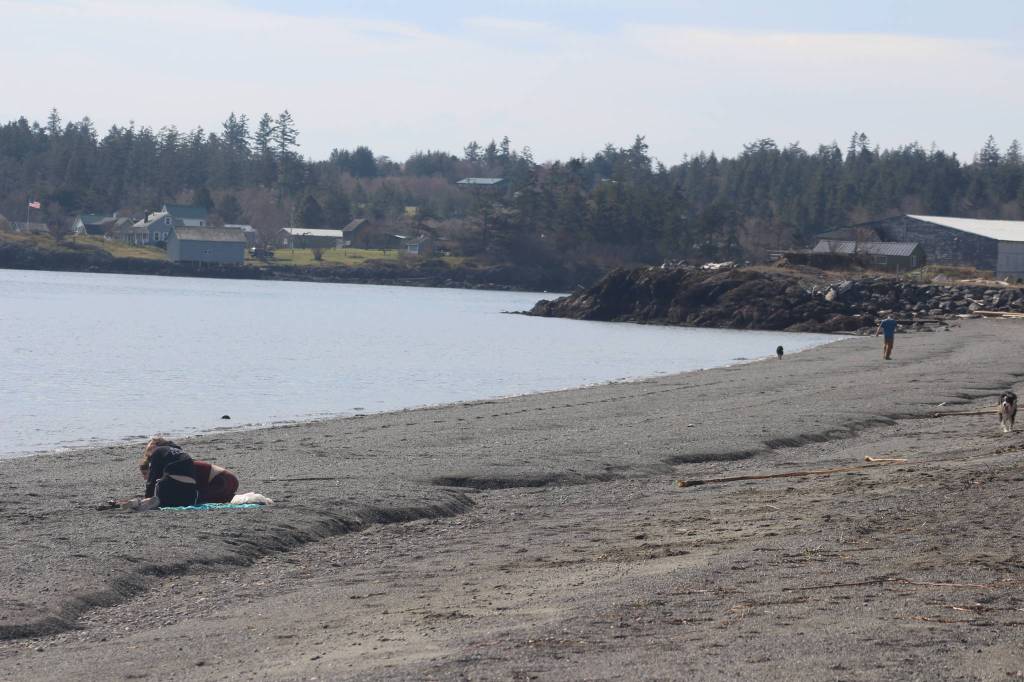 Spring arrives with the equinox