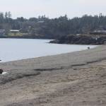 Spring arrives with the equinox