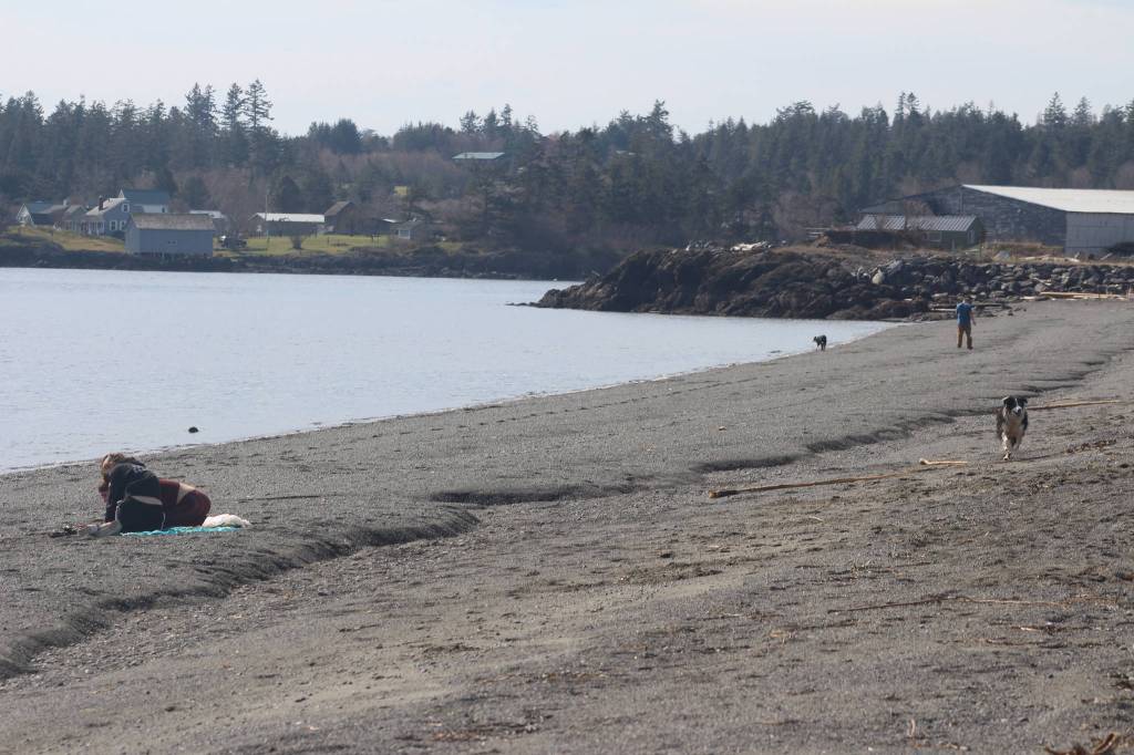 Spring arrives with the equinox