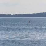 Spring arrives with the equinox