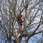 Spring arrives with the equinox