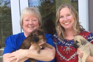 Animal Protection Society welcomes new executive director