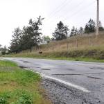 County wins grants for pedestrian paths