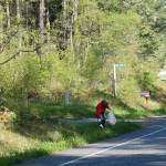 Locals clean up the islands