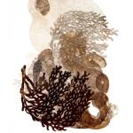 Contributed photo                                Nurse Log cast bronze by Jean Behnke.