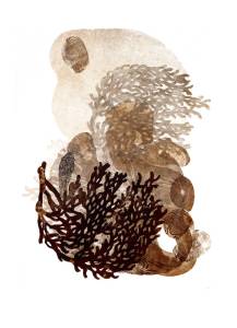 Contributed photo                                Nurse Log cast bronze by Jean Behnke.