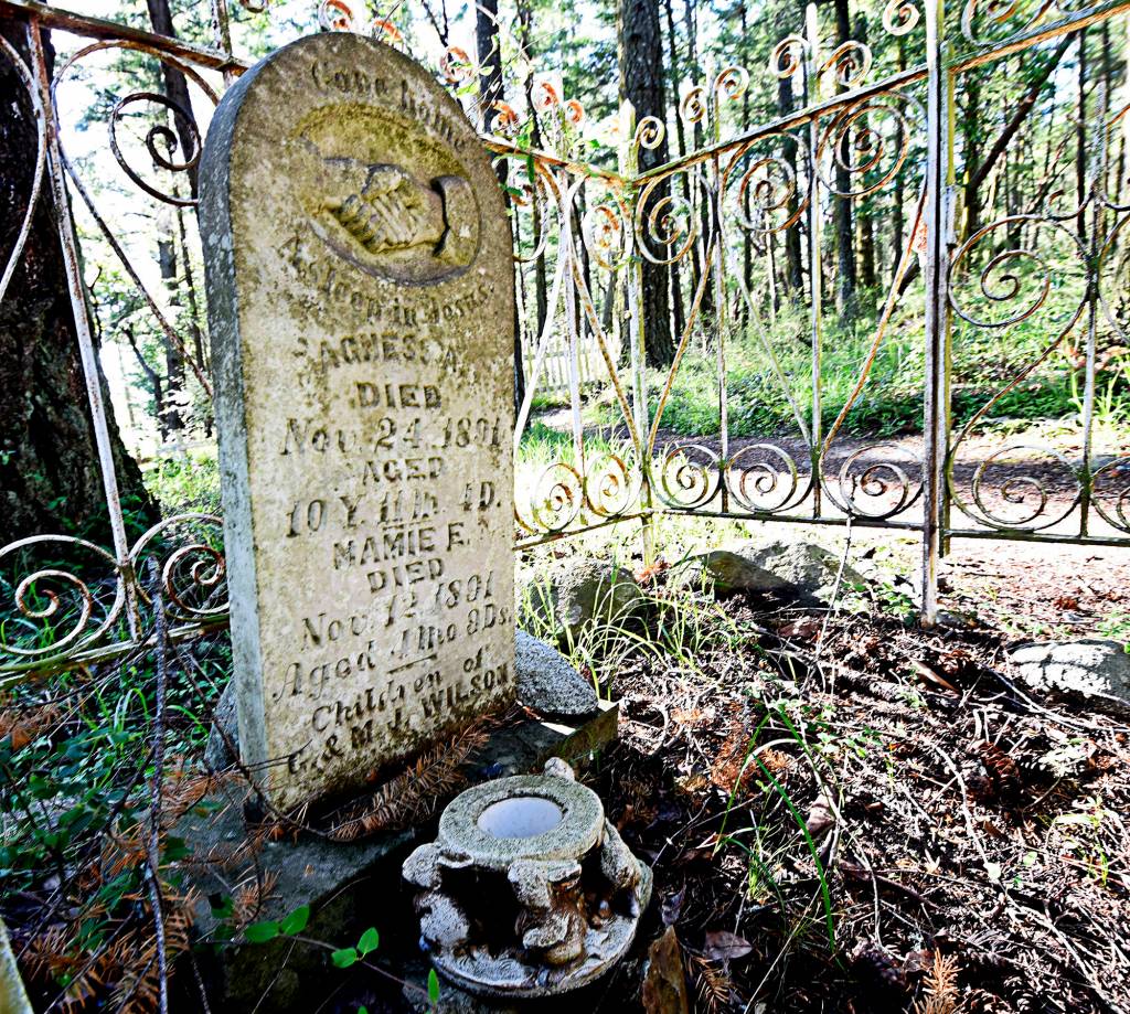 Tate Thomson/Staff photos