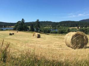 United for nature | Teaming up for preservation