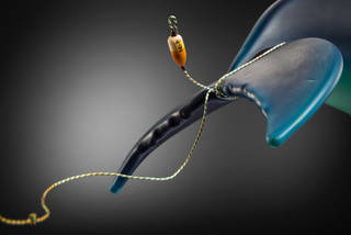 Art museum presents “Deep Dive” an exhibit for the orcas