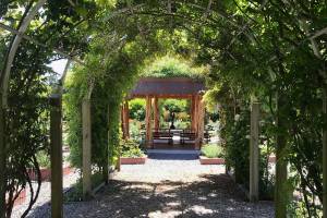 Orcas Garden Tour 2019