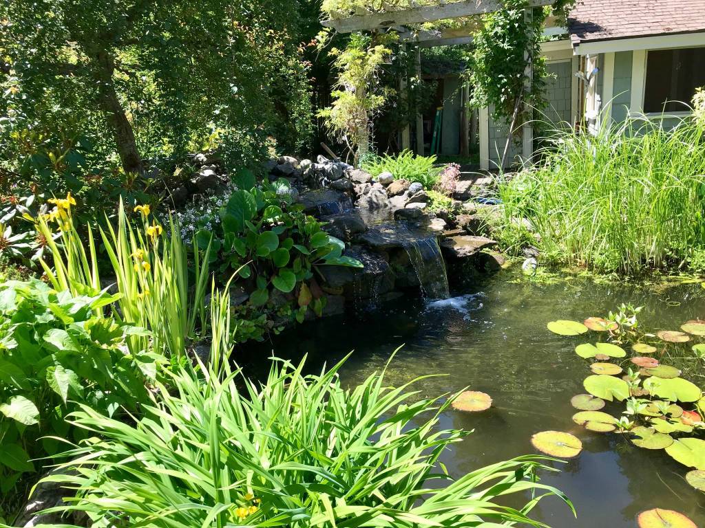 Orcas Garden Tour 2019