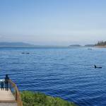 Contributed photo. Conceptual drawing of what a sanctuary could look like.