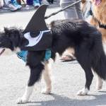 San Juan’s Fourth of July