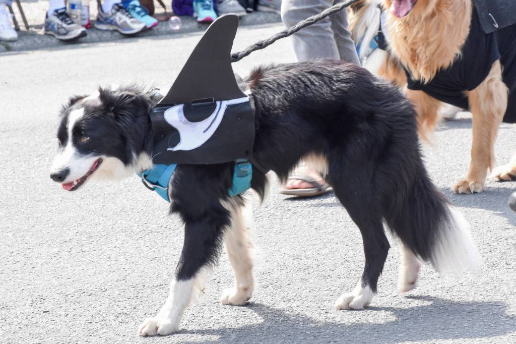 San Juan’s Fourth of July