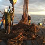 Tyler LeRoy/Contributed photos                                Army Deep Divers pulling up derelict nets.