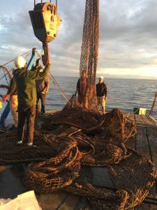Tyler LeRoy/Contributed photos                                Army Deep Divers pulling up derelict nets.