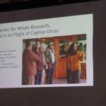 Whale sanctuary project reveals two possible locations