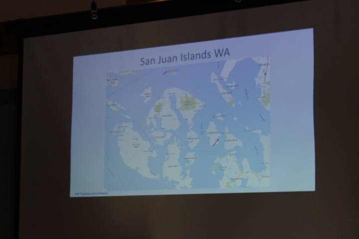 Whale sanctuary project reveals two possible locations