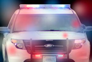 Friday Harbor man accused of assaulting a deputy