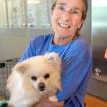 Animal Shelter Volunteer of the Month: Carole Crowley