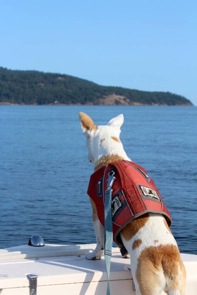 An ecosystem out of balance