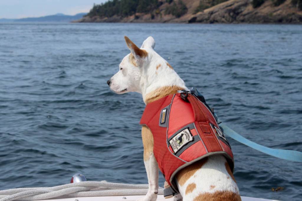 An ecosystem out of balance