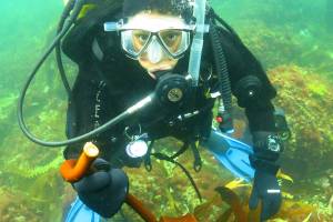 Friday Harbor Labs lecture, Aug. 7