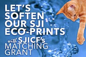 Community foundation and APS-FH raise funds and fun at the fair