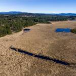 Contributed photo/Joe Belcovson.