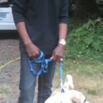 Dogs find homes after story in Islands’ Sounder | One still available