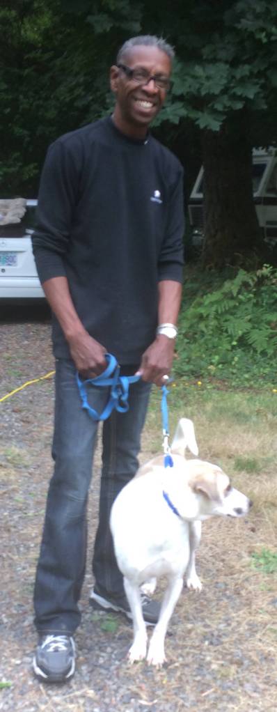 Dogs find homes after story in Islands’ Sounder | One still available