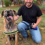 Dogs find homes after story in Islands’ Sounder | One still available