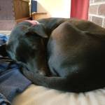 Jacky is still available.