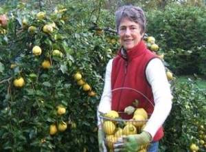 Contributed photo                                Marnie Reynolds.